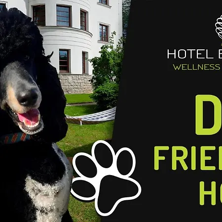 Bedriska Wellness & 4*