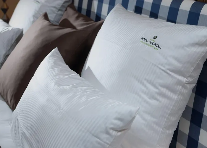 فندق Bedriska Wellness & Špindlerŭv Mlýn