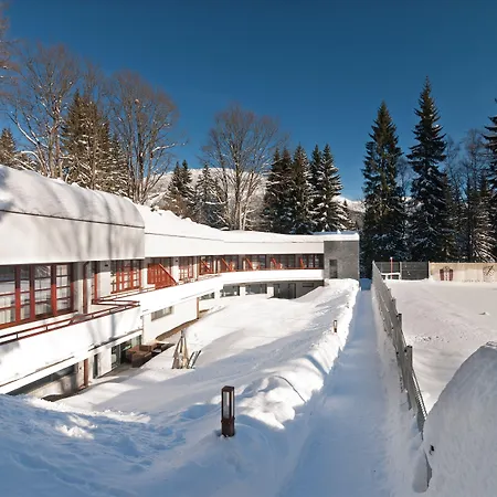 Bedriska Wellness & 4*