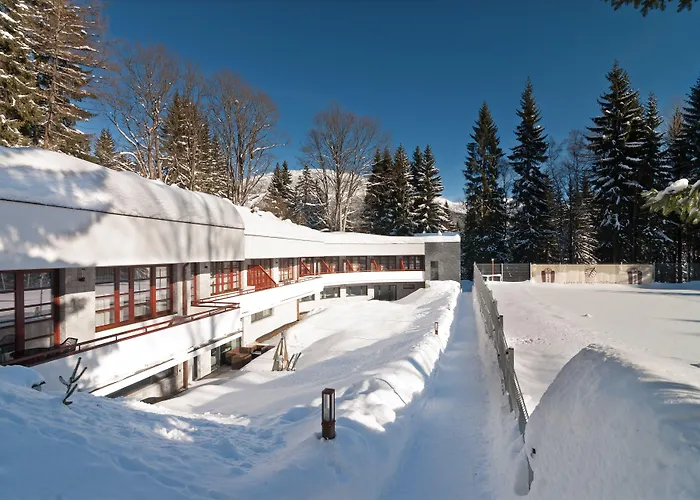 Bedriska Wellness & 4*